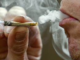 大麻为何在荷兰“被合法”？
